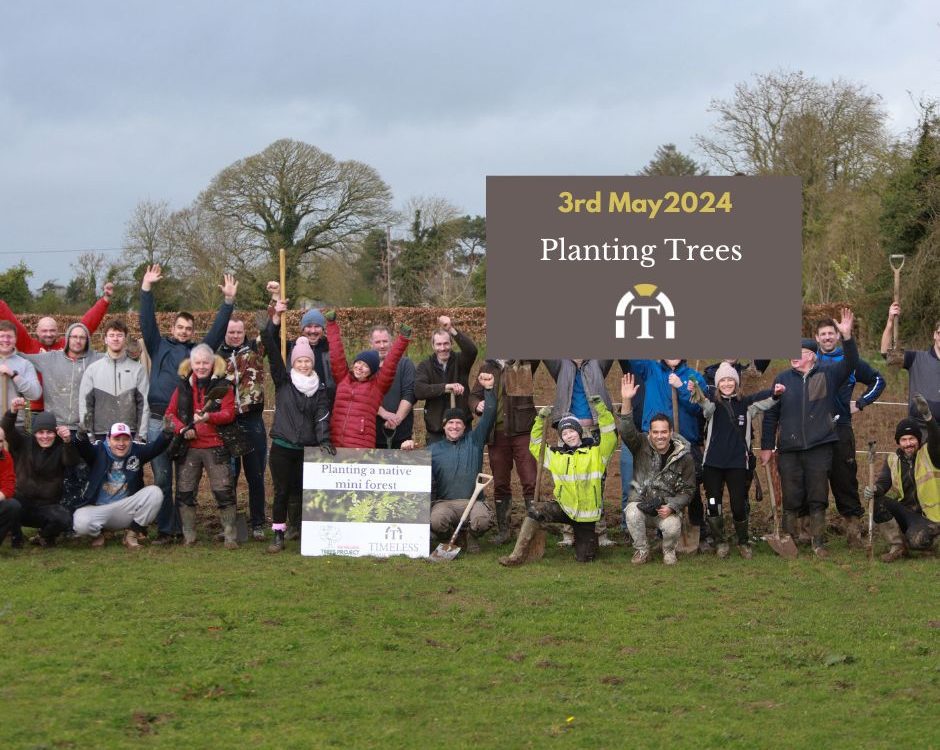 corporate Tree planting